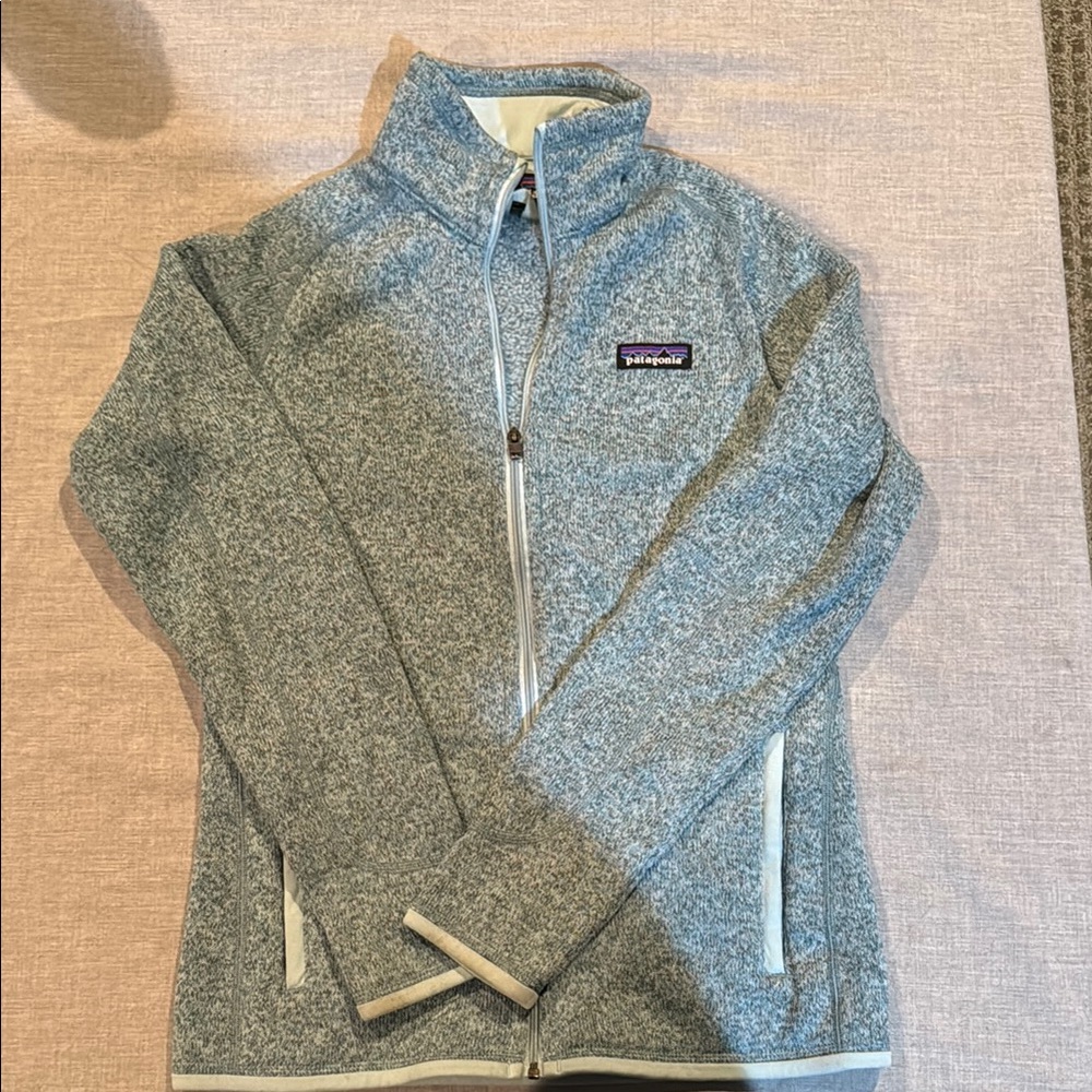 Patagonia Gray Green Women's Jacket